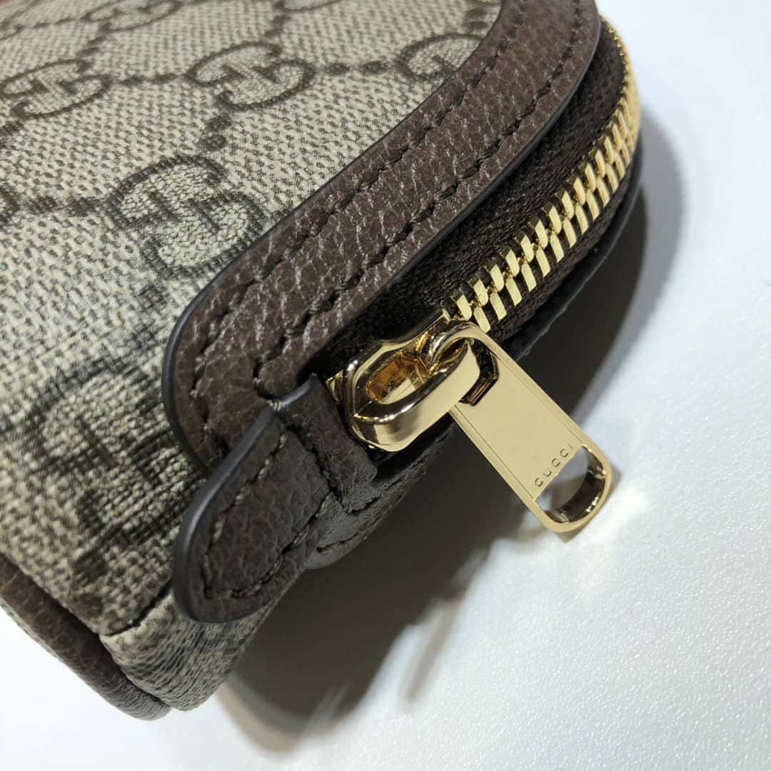 Gvc*1 Ophidia Gg Cosmetic Pouch Brown